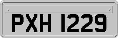 PXH1229