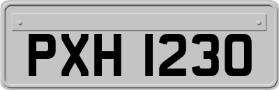 PXH1230