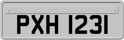 PXH1231