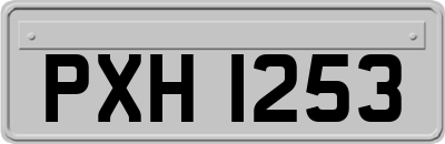 PXH1253