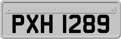 PXH1289