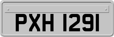 PXH1291