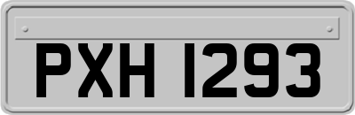 PXH1293