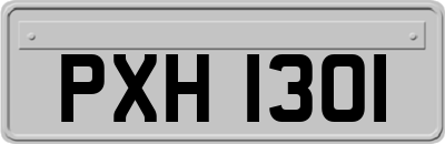 PXH1301