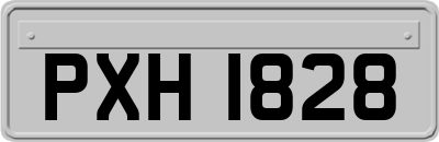 PXH1828