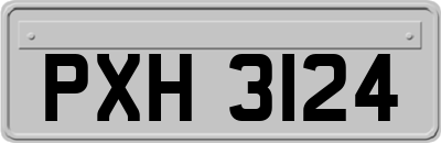 PXH3124