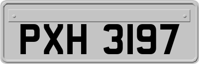 PXH3197