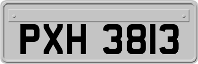 PXH3813