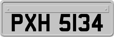 PXH5134