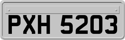 PXH5203