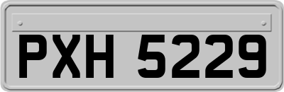 PXH5229