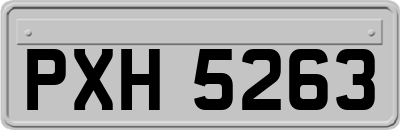 PXH5263