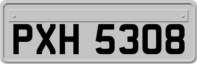 PXH5308