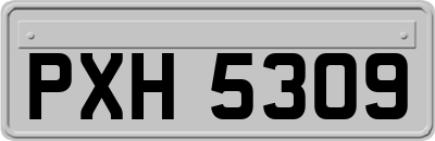 PXH5309