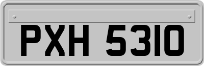 PXH5310