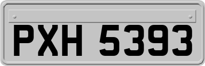 PXH5393