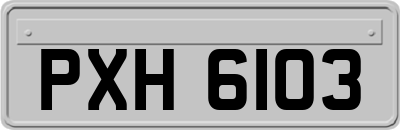 PXH6103