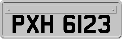 PXH6123