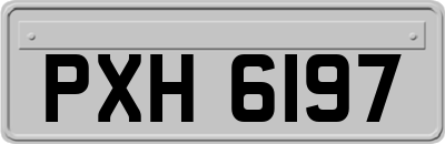 PXH6197