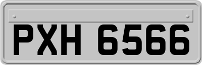 PXH6566