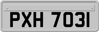 PXH7031