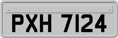 PXH7124