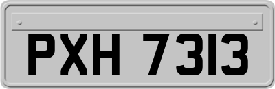 PXH7313