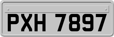 PXH7897