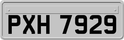 PXH7929