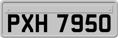 PXH7950