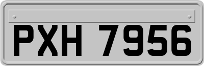 PXH7956