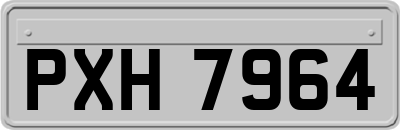 PXH7964