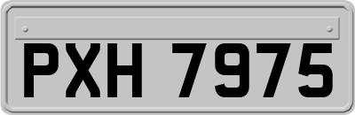 PXH7975