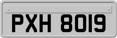 PXH8019