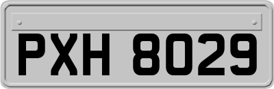 PXH8029