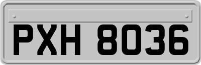 PXH8036