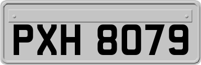 PXH8079