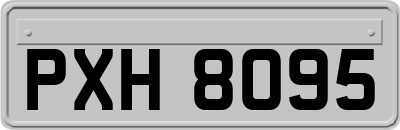 PXH8095