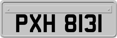 PXH8131