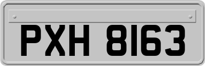 PXH8163