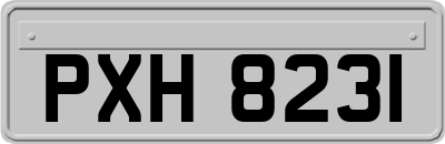 PXH8231