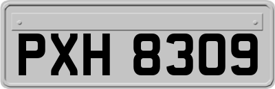 PXH8309