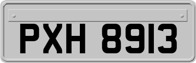 PXH8913