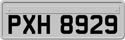 PXH8929