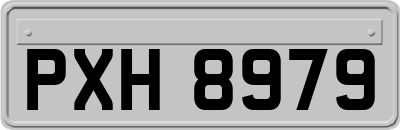 PXH8979