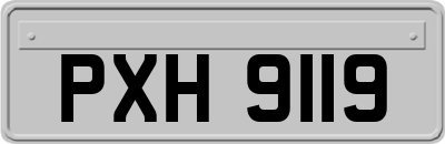 PXH9119