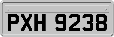 PXH9238