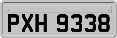 PXH9338