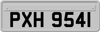 PXH9541