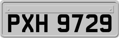 PXH9729